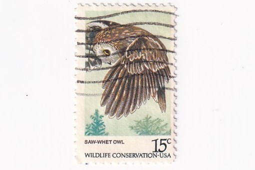 STAMP US SCOTT 1761 "Saw Whet Owl" 15 CENT 1978 USED - A