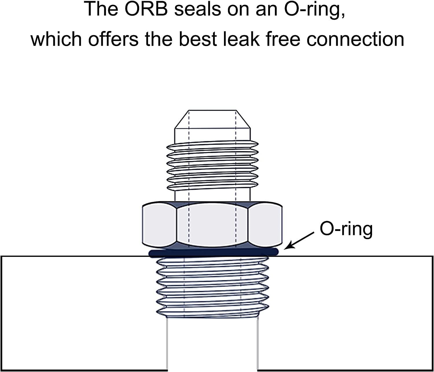 LokoCar Flare ORB 8AN to 6AN Male Fuel Rail Adapter Fitting Black 2PCS