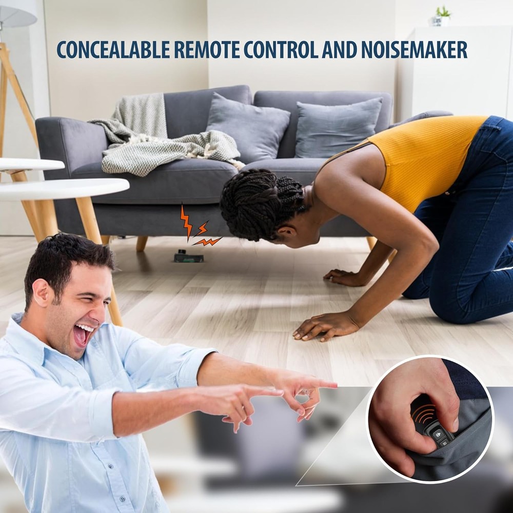 Cricket Noise Maker Prank with Remote Control,Hidden Black
