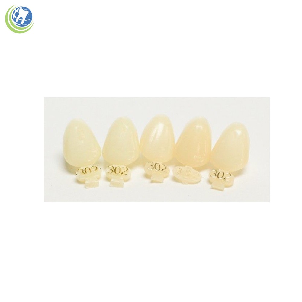 DENTAL POLYCARBONATE TEMPORARY CROWNS #302 (ULC) UPPER LEFT CUSPID 5/PACK
