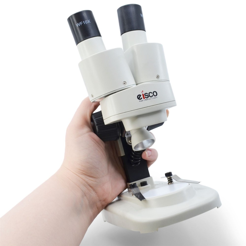 Stereoscopic Microscope, 45 Degree Binocular Head, Adjustable Pillar -Eisco Labs