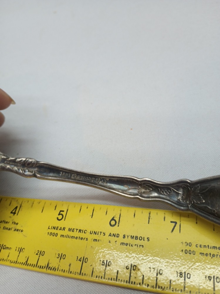 Wm. Rogers & Son IS Grapevine SILVERPLATE Dipping LADLE Spoon