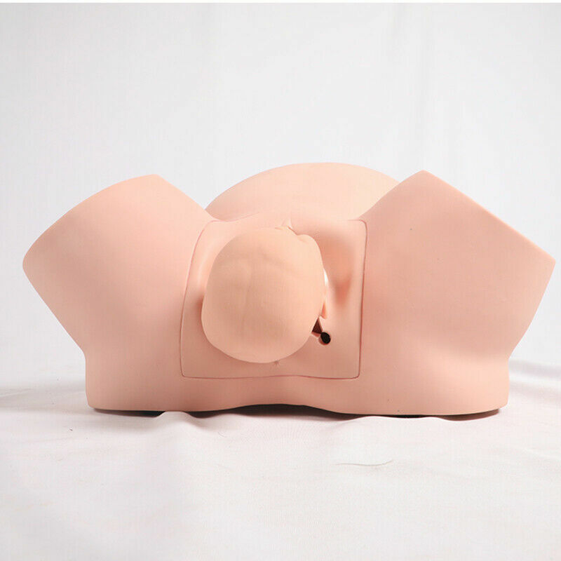Midwifery Training Simulator,Advanced Vacuum Delivery Simulator