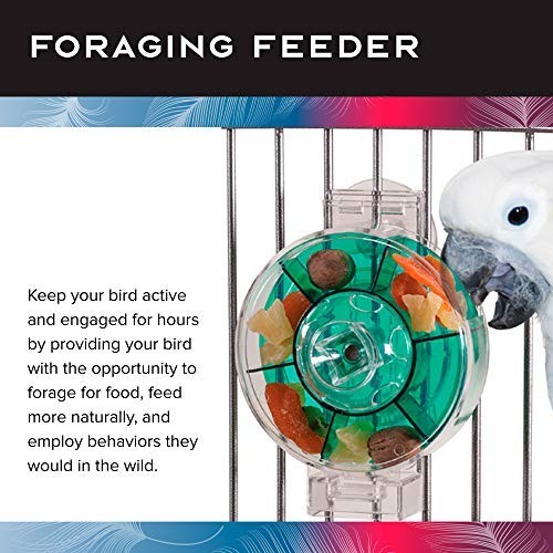 Extra Large Interactive Bird Feeder - Creative Foraging Wheel for Large Birds -