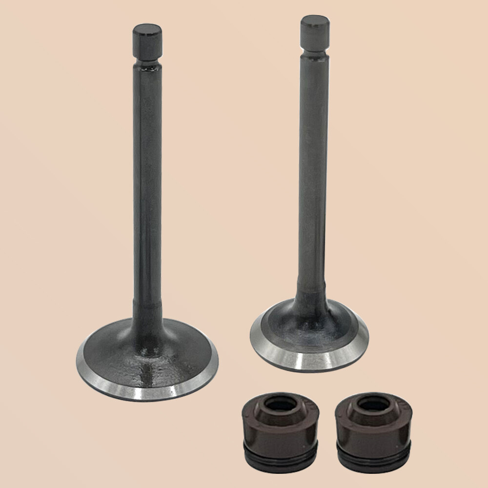 Engine Intake & Exhaust Valves for Yamaha TTR125 TTR125E TTR125EL 2000-2018