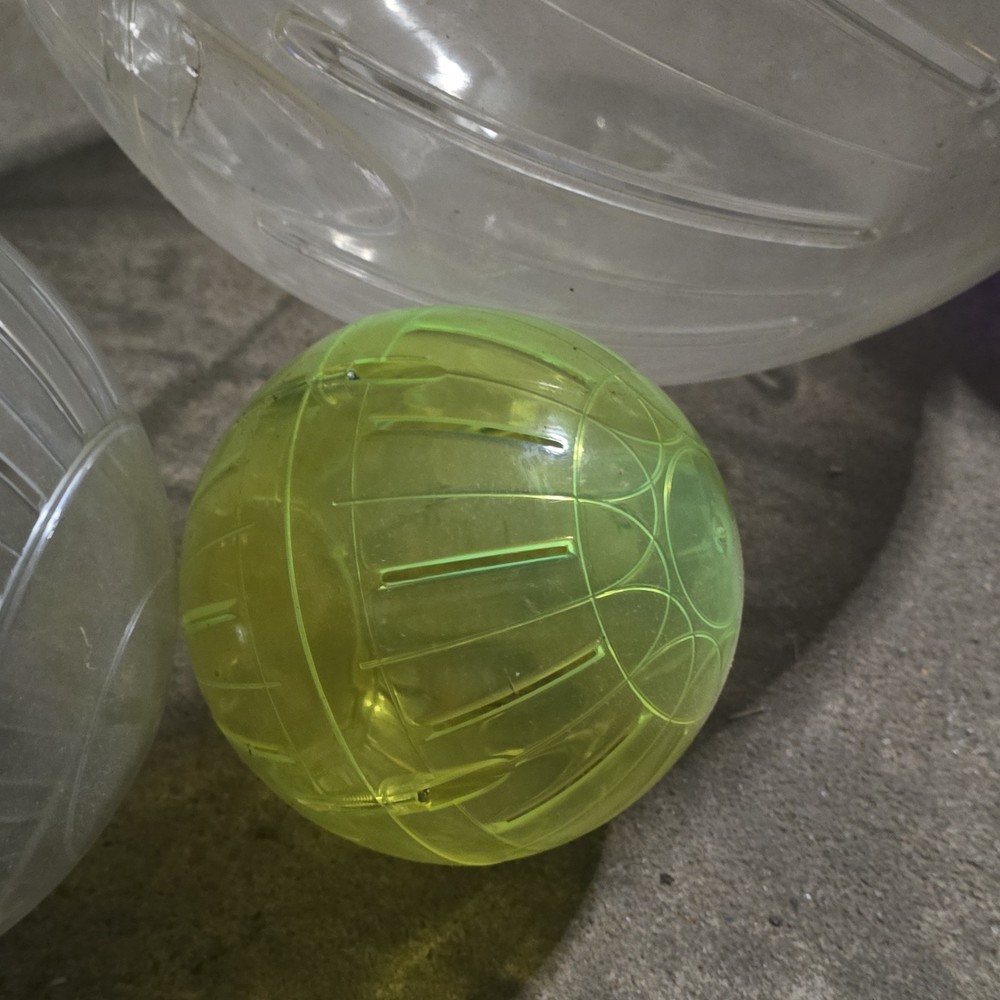 Clear, Purple, Yellow Plastic Exercise Balls for Gerbils