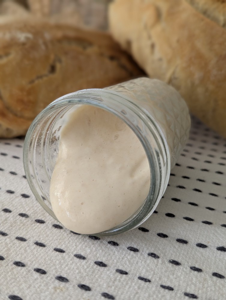Sourdough Starter for Bread