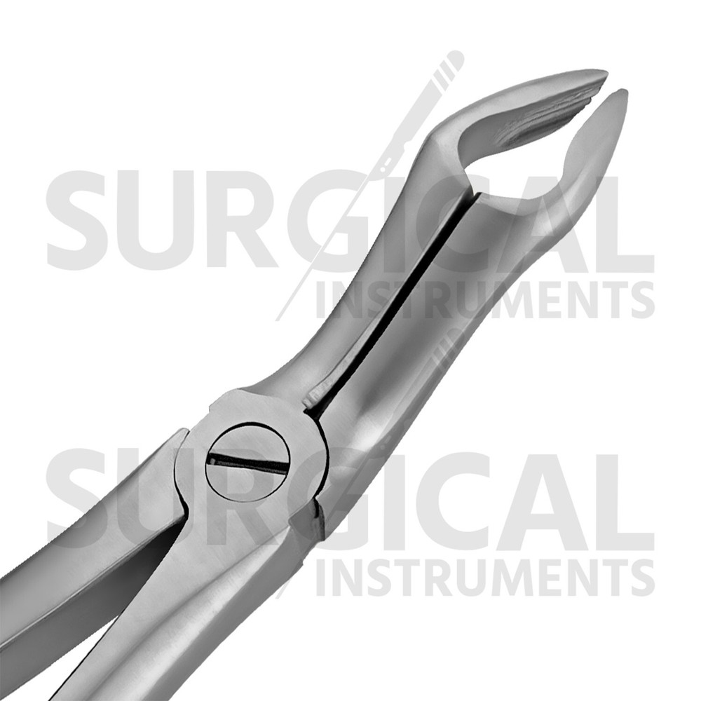 Heavy Duty Stainless Extraction Forceps #67A - Gold Hollow Python Grip German Gr