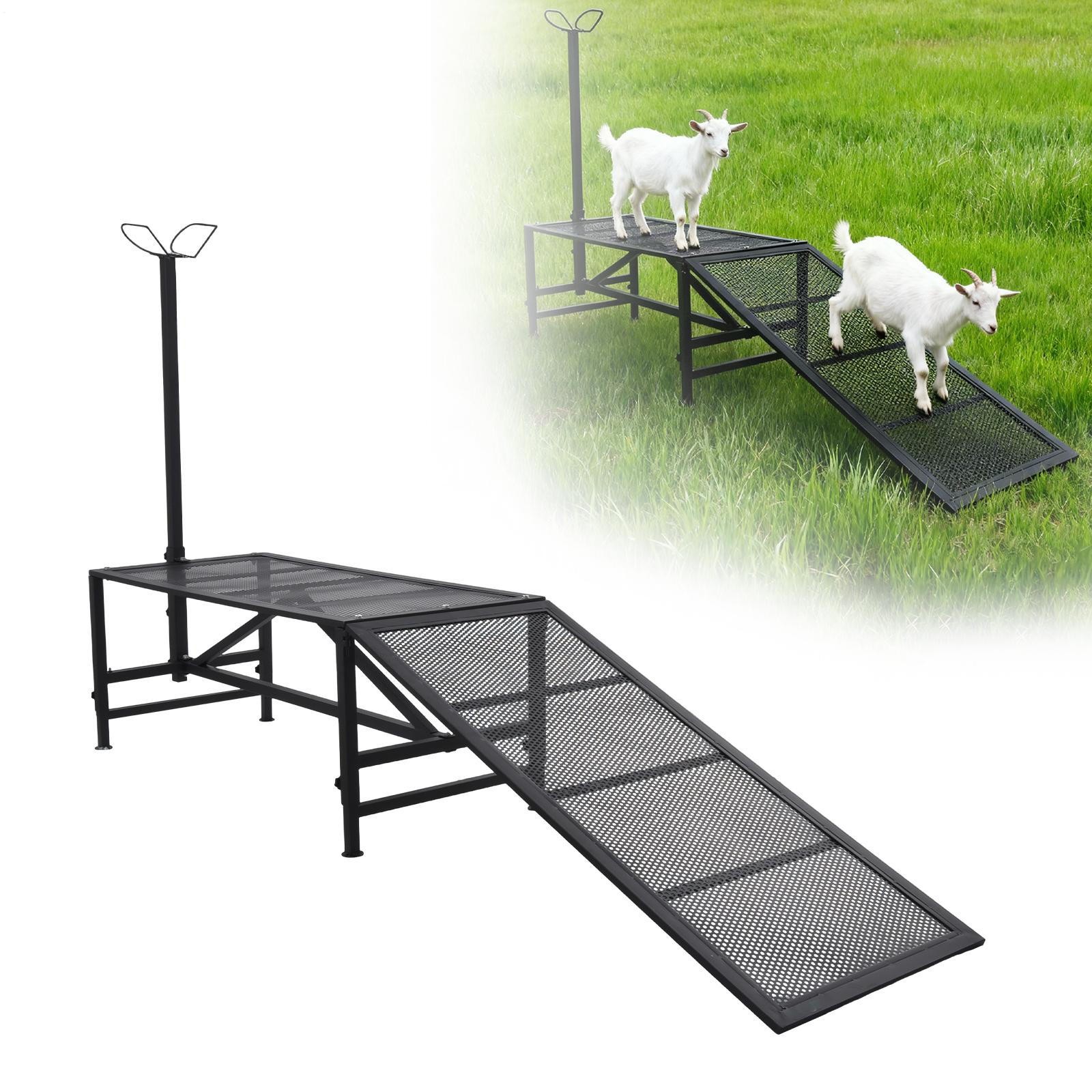 Livestock Stand Goat Milking Trimming Stand W/Ramp Adjust Height Nose Loop