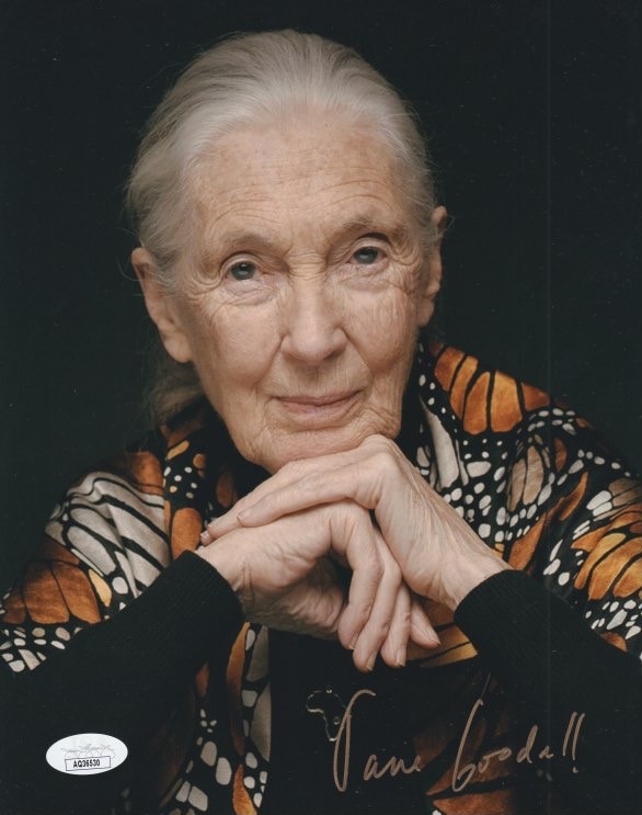 Jane Goodall signed 8x10 photo JSA