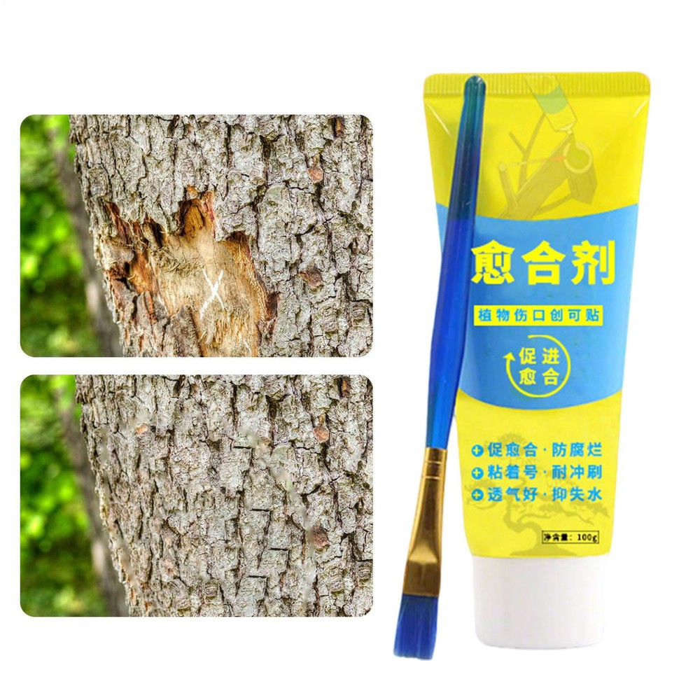 100g Tree Wound Bonsai Cut Paste Smear Agent Pruning Compound Sealer With Brush