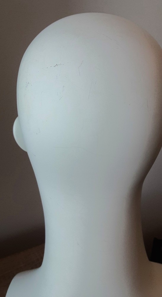 Male Mannequin Display Head