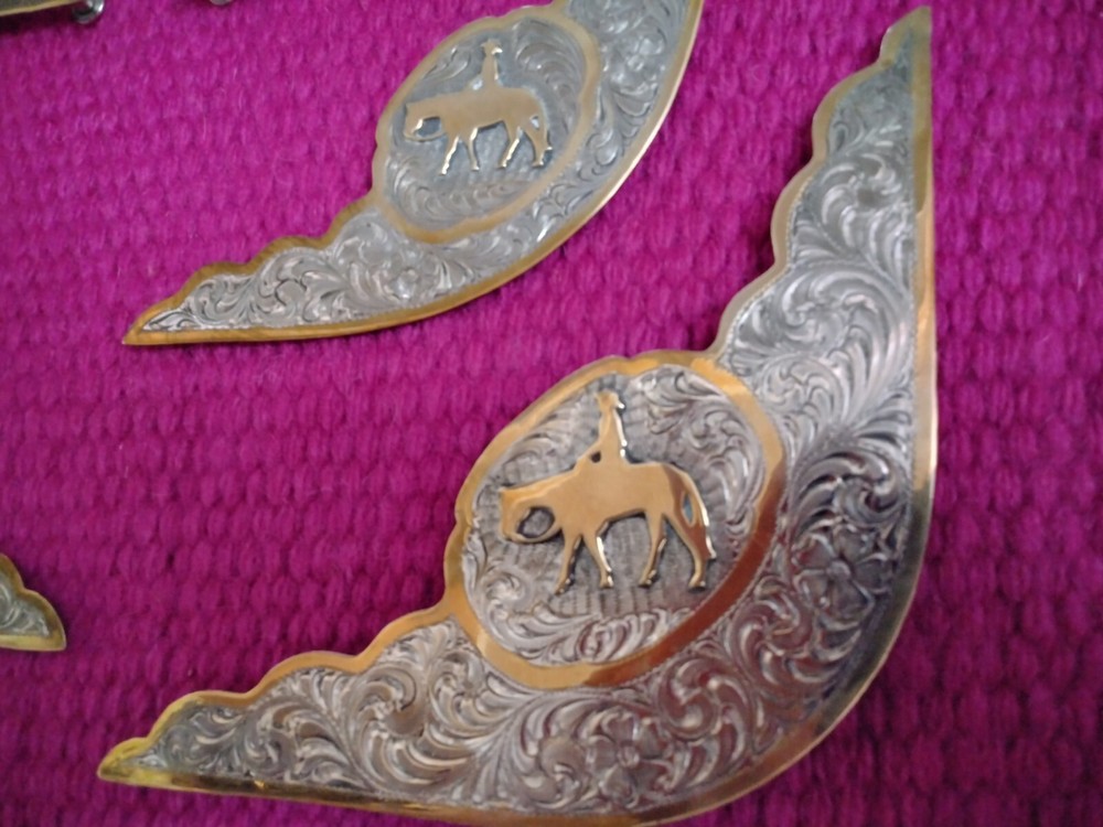 Western Saddle Silver Trim