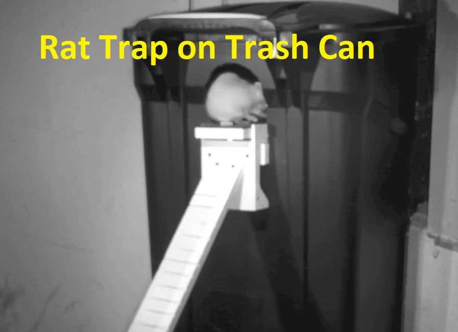 Walk The Plank Rat Trap - Rat & Squirrel Trap - Auto Reset - USA MADE