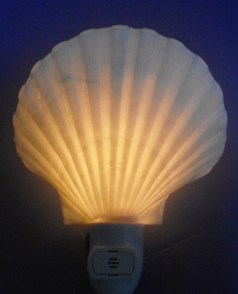 Real Seashell Night Light Scallop Shell Decorative Beach Decor 4" On/Off Switch
