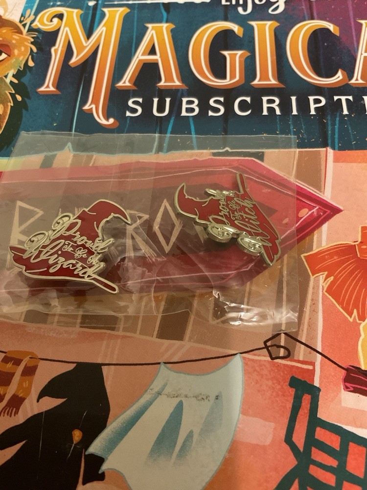 Harry Potter Pin