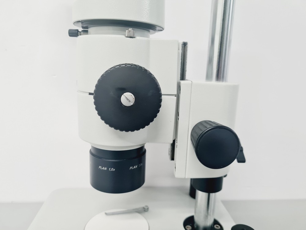 Leica M8 WILD Stereo Zoom Microscope Lab