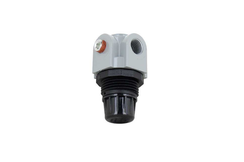 Milton® Mini Heavy Duty Regulator, 1/4" NPT