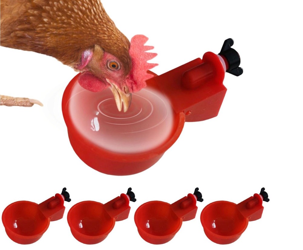 6 PCS Automatic Water Cups Poultry Drinker Waterer Chicken Duck Quail Drinking