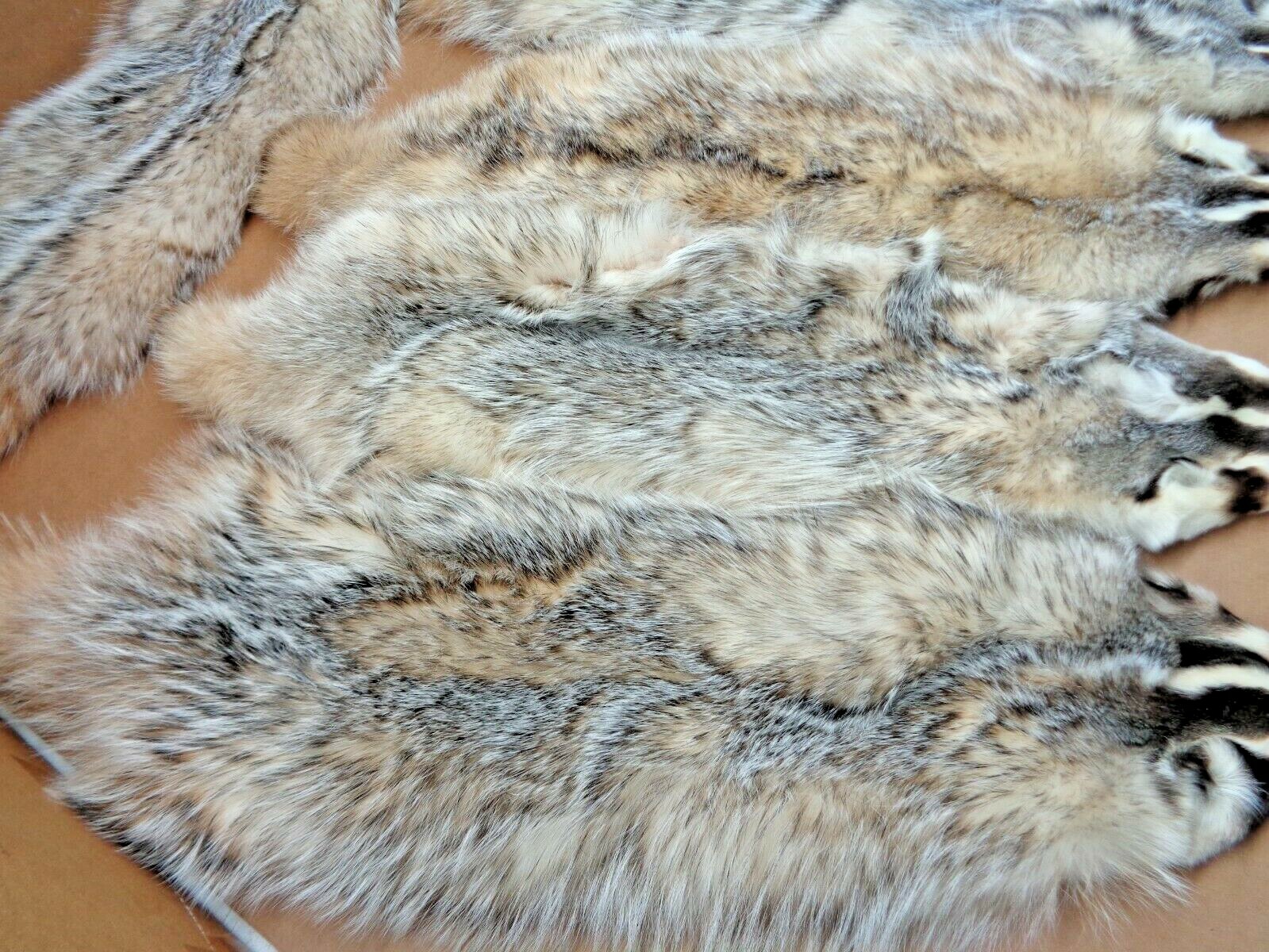 Tanned #1 Heavy Furred Badger Hide/Fur/Taxidermy/Free ship/Trapping/Pelts