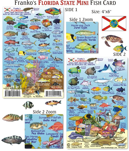 Franko Maps - Mini Florida Reef Fish ID