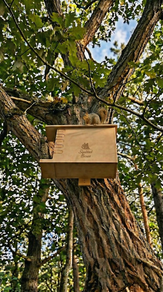 Squirrel Box Watchtower Nest House Camera Compatible With Multiple Models V2