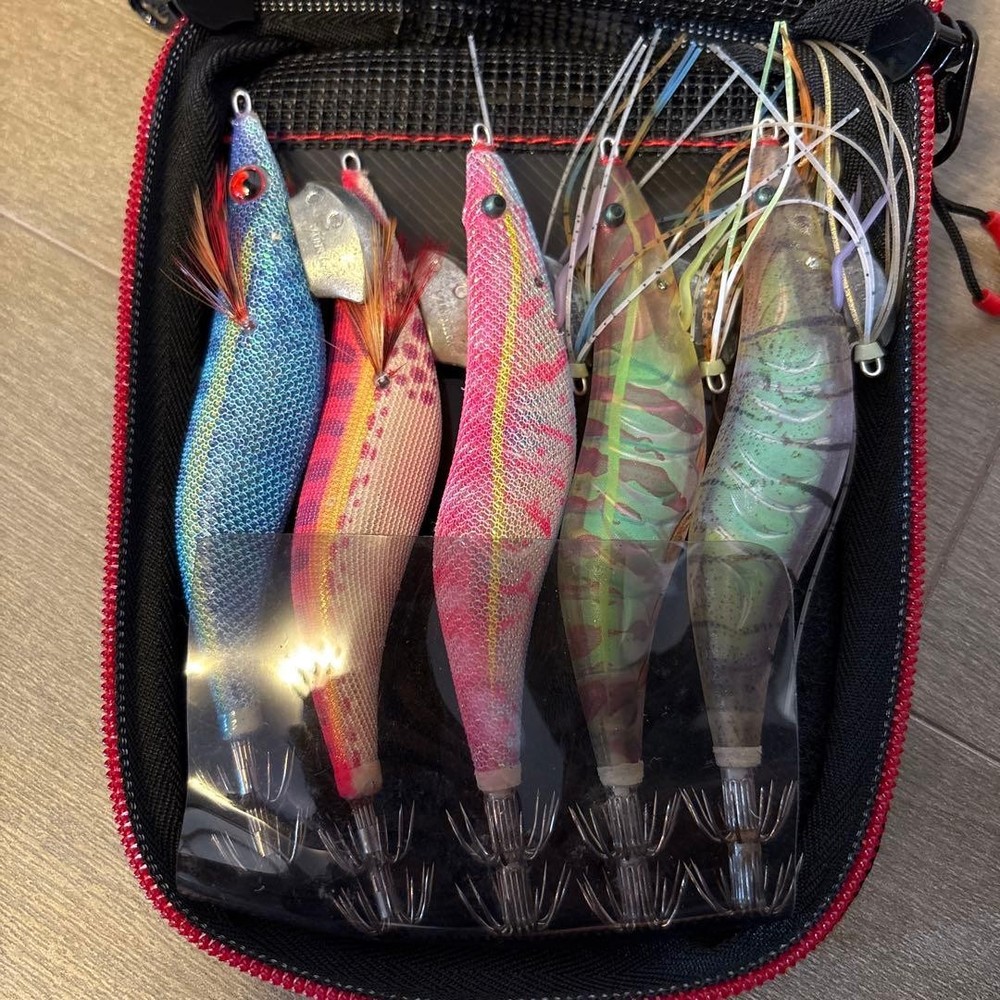 With Bonus Daiwa Theory 2506