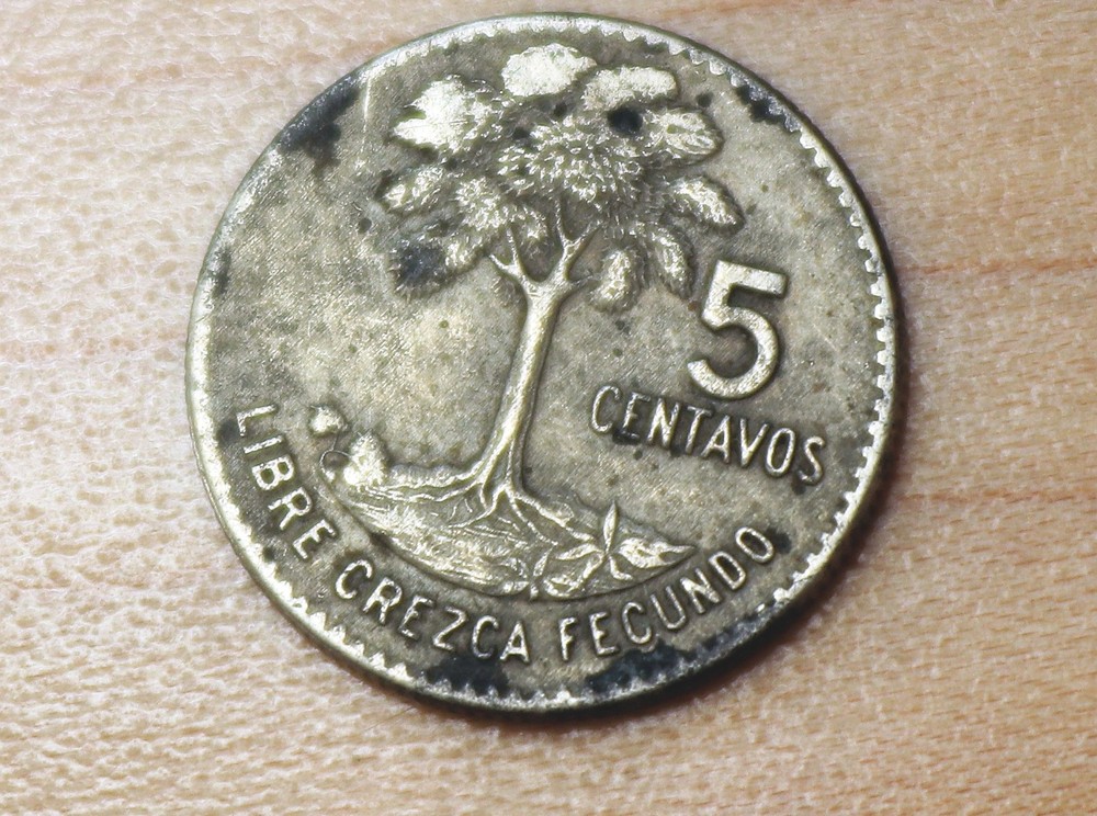 1966 Guatemala 5 Centavos Kapok Tree