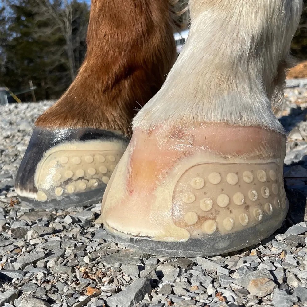 EasyShoe Versa Grip Glue-On Horseshoe