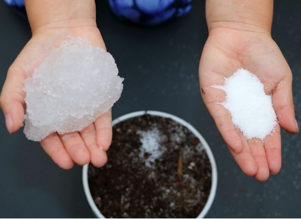 Water Absorbing Polymer Crystals - Soil Moisture