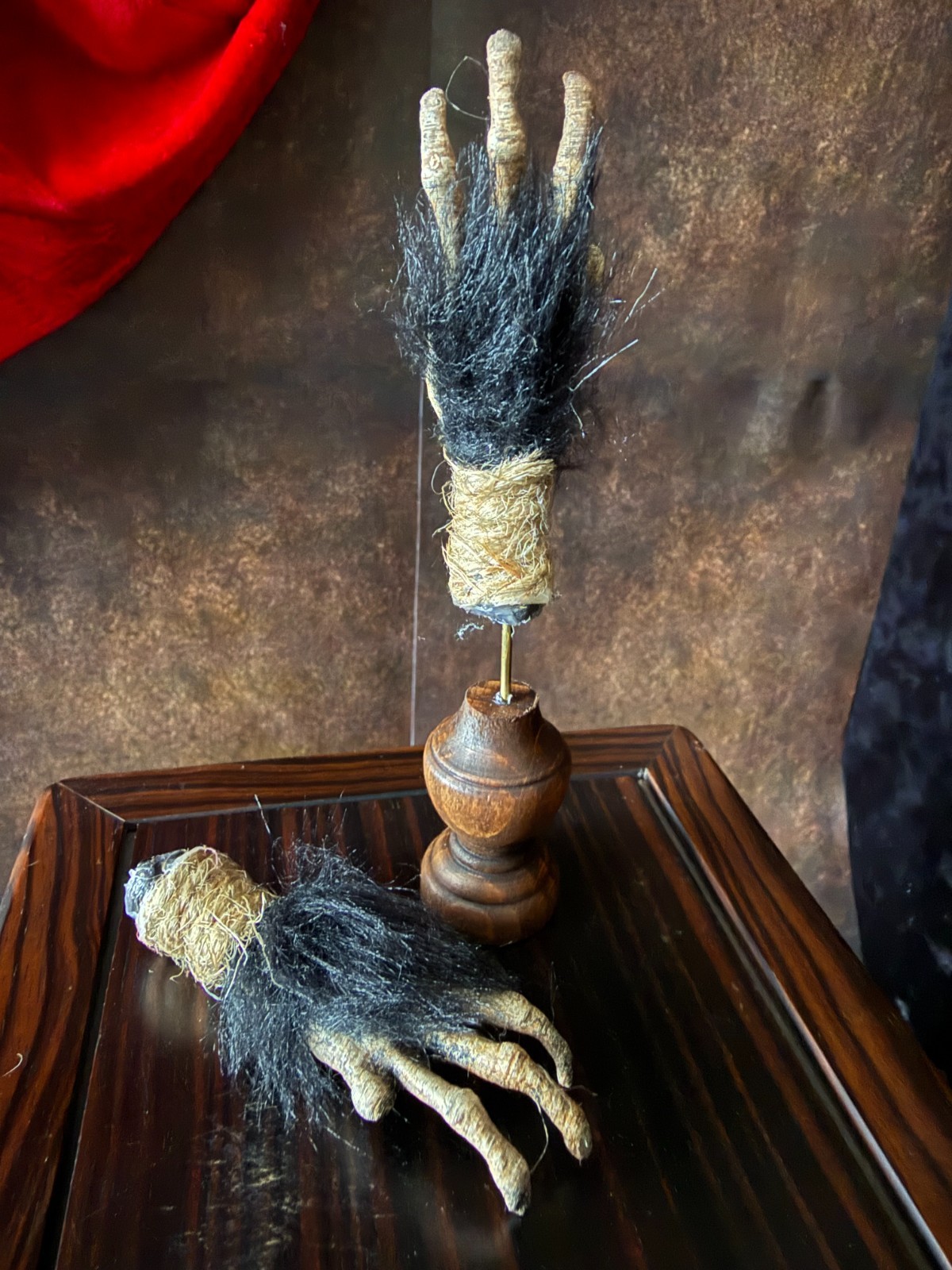 Cursed Monkey Paw for curiosity cabinet unmounted