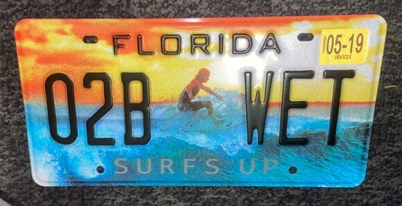 Endless Summer Surfer License Plate Beautiful Alternative