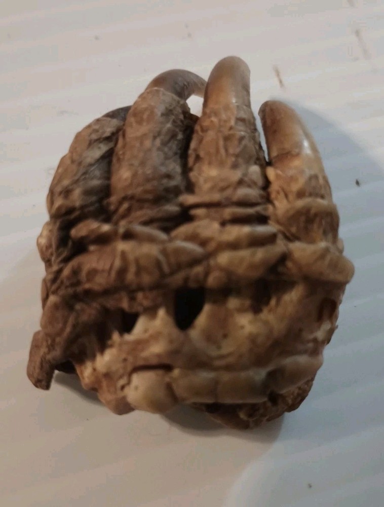 Snapping Turtle Claw Foot