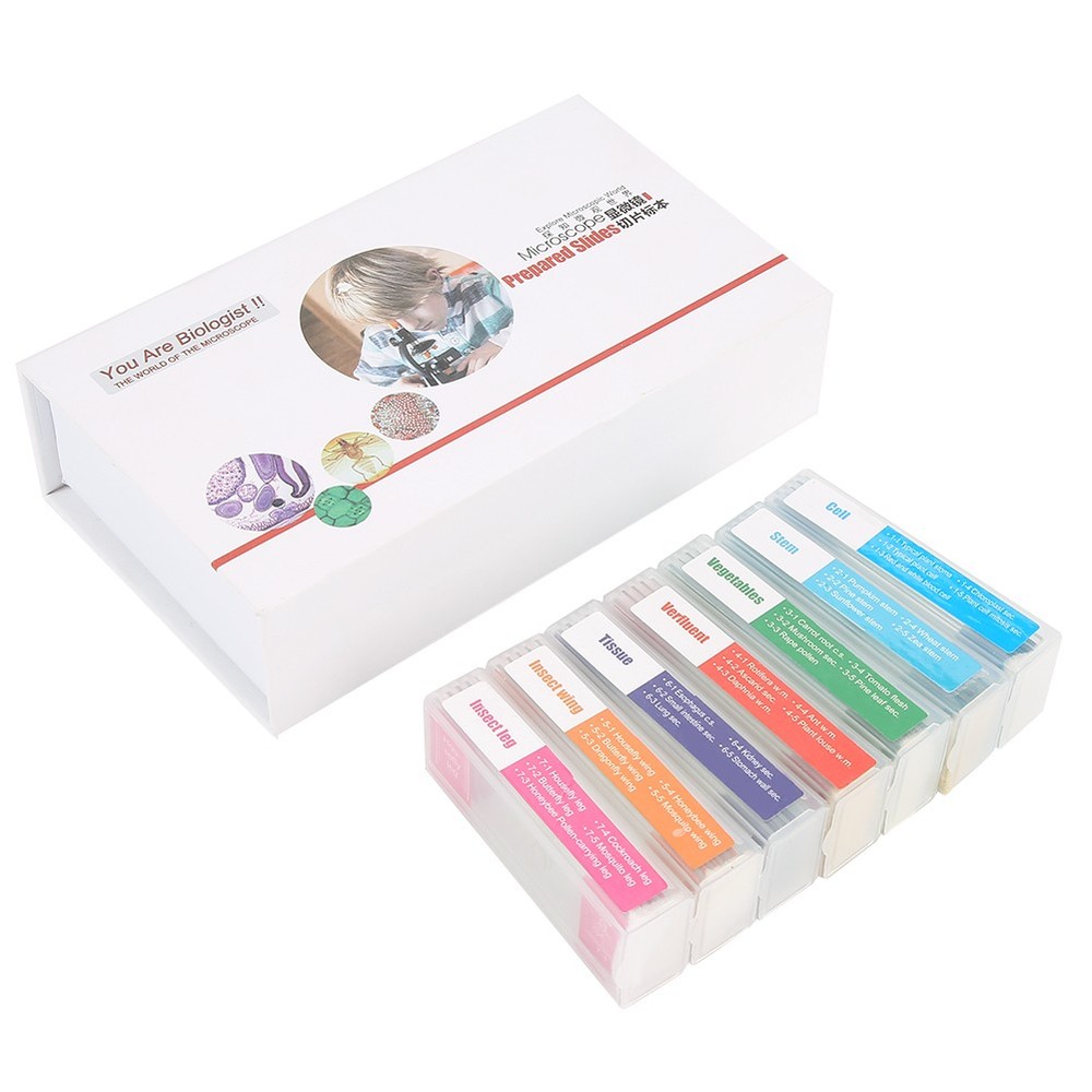 35pcs Biology Glass Prepared Microscope Slides Lab Specimens Set❀