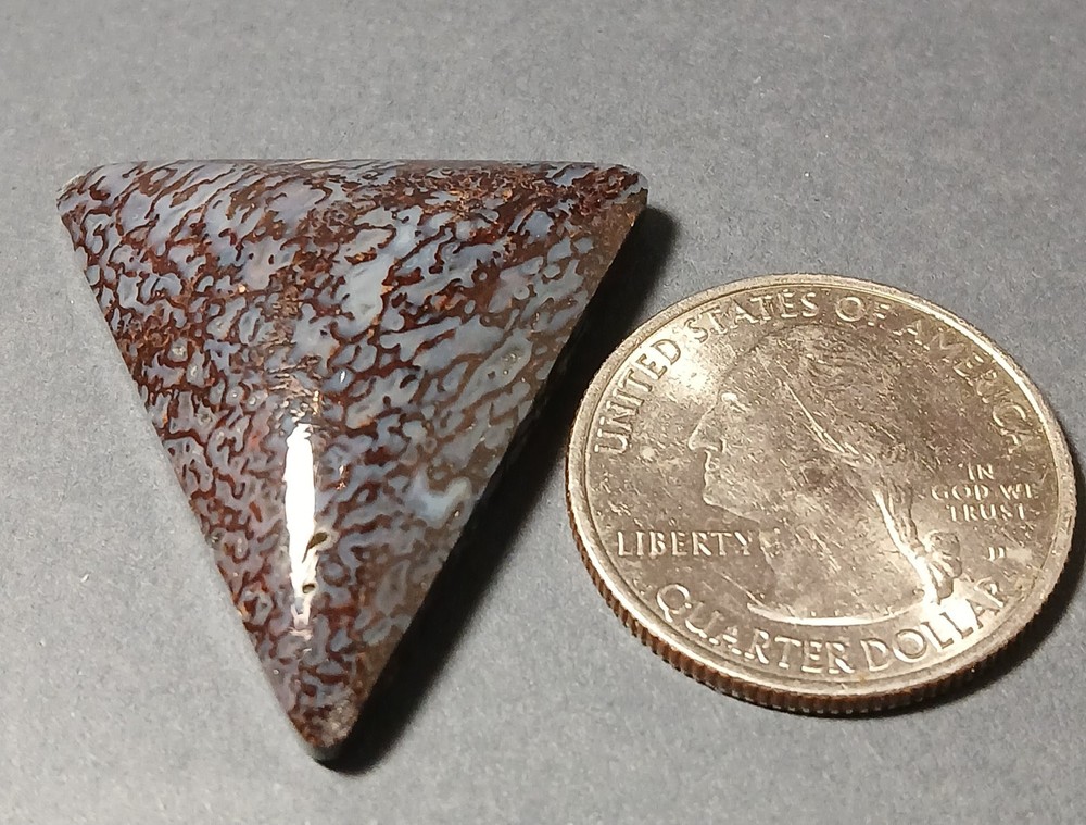 Dinosaur Bone Cabochon - Gorgeous BLUE Cells