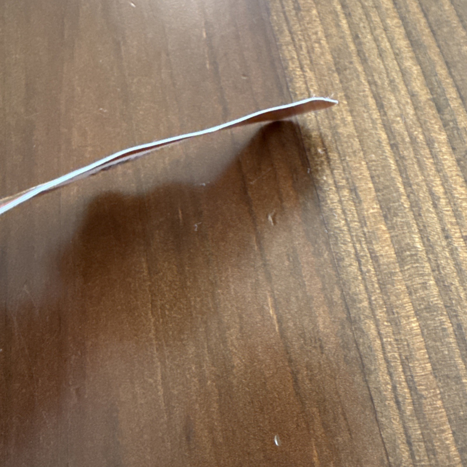 Dutch Bros Sticker September 2025 Station Wagon Fall￼READ