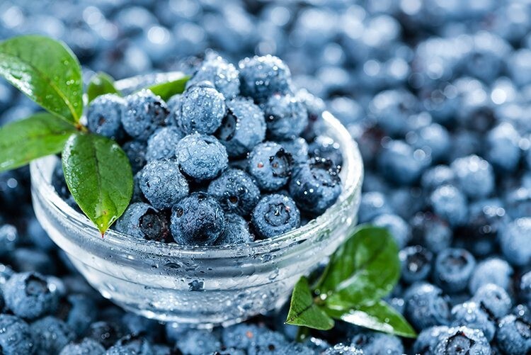 Grape seed extract for eyes - MAXIMUM VISION SUPPORT - Eye care 1Bot 60Caps