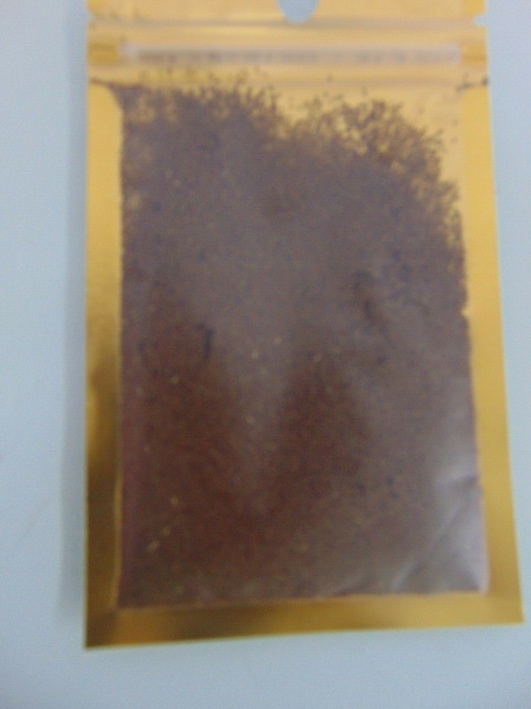 Aquarium Small Leaf Grass (12 Packs)