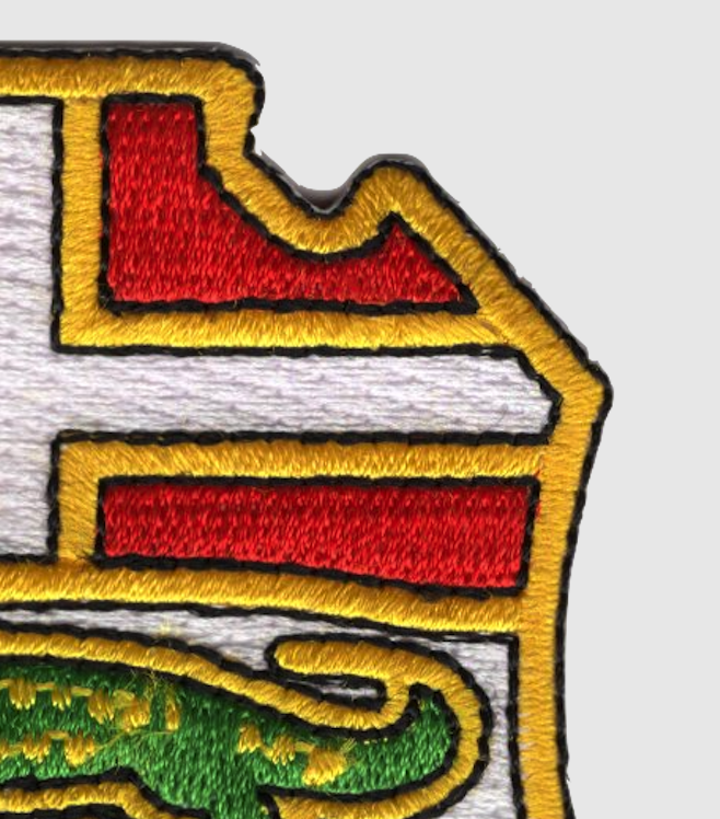 6th Infantry Regiment Patch Unity Is Strength