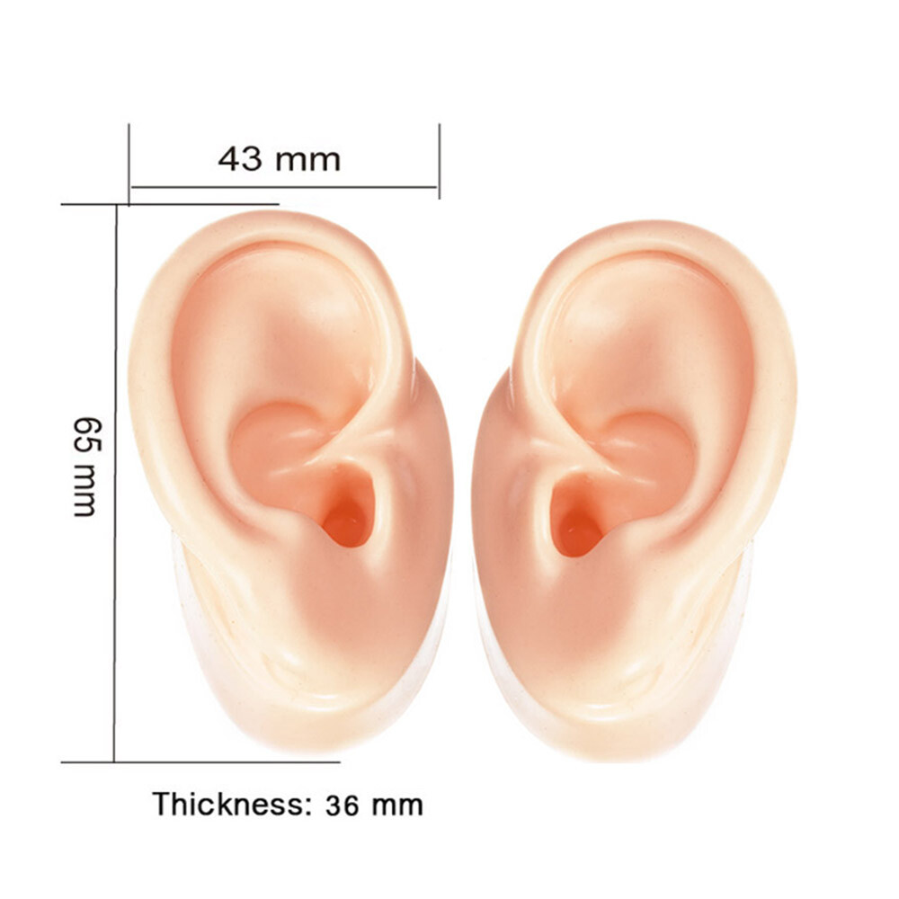 Silicone Imitation Real Ear Flexible Soft Earring Display Ear Model Artificial