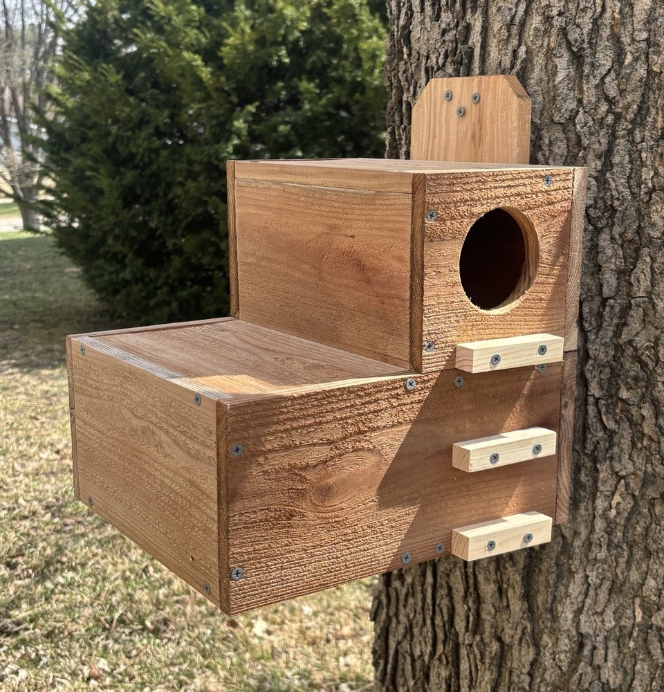 Large Solid Cedar Backyard Squirrel House Nesting Box - Wooden W Preditor Guard