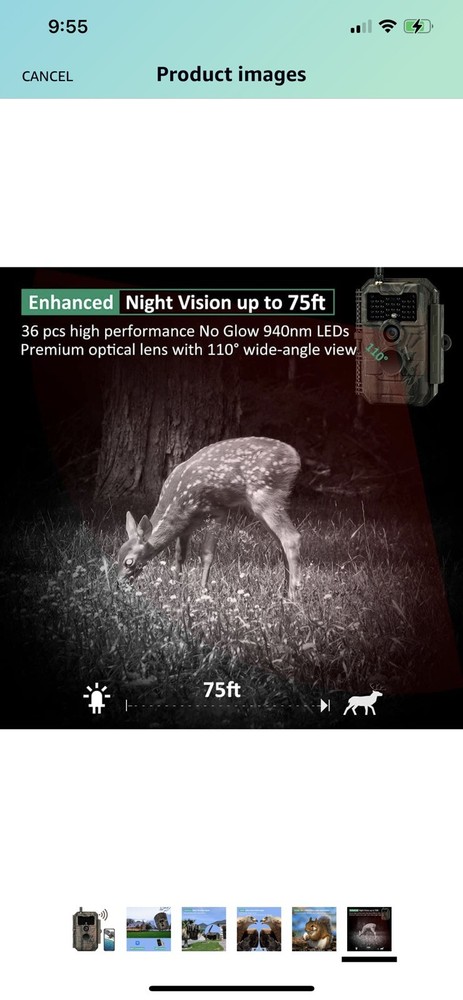 garden deer camera