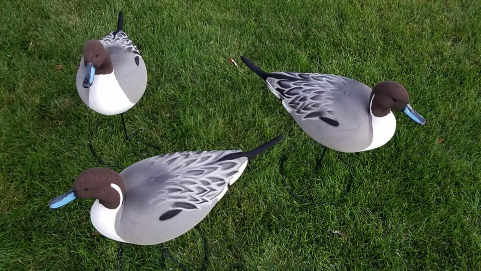 Pintail Decoy Full Body Flocking Kit