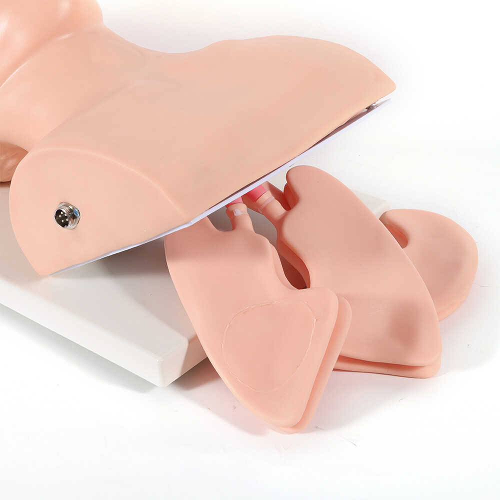 Intubation Manikin Study Teaching Simulator Airway Management Trainer Tool Model