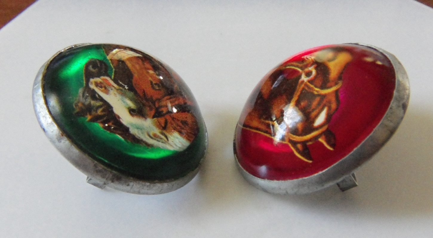 Vintage Glass Domed HORSE BRIDLE ROSETTES Equestrian Decorative Chapman MINN