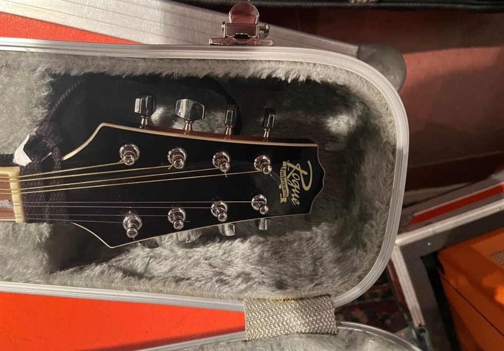 Acoustic mandolin with hard case