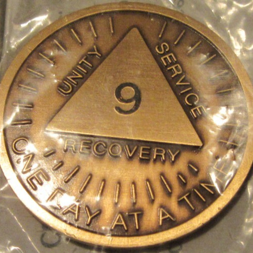 Alcoholics Anonymous AA 9 Year Sunshine Bronze Medallion Token Chip Sober