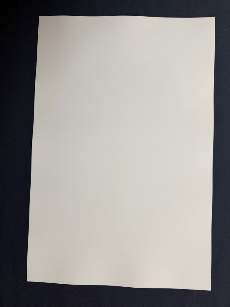 FILLMORE BG 142 poster MINT