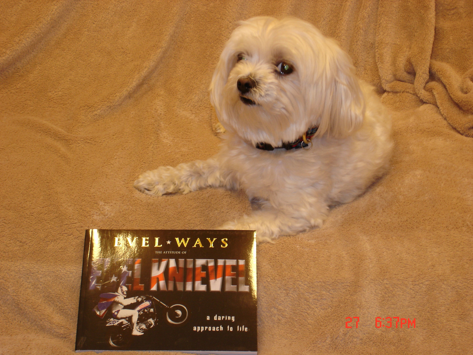 NEW Evel Knievel "Evel Ways" Book -Out of print in 1999- ONLY book "EK" WROTE!!!