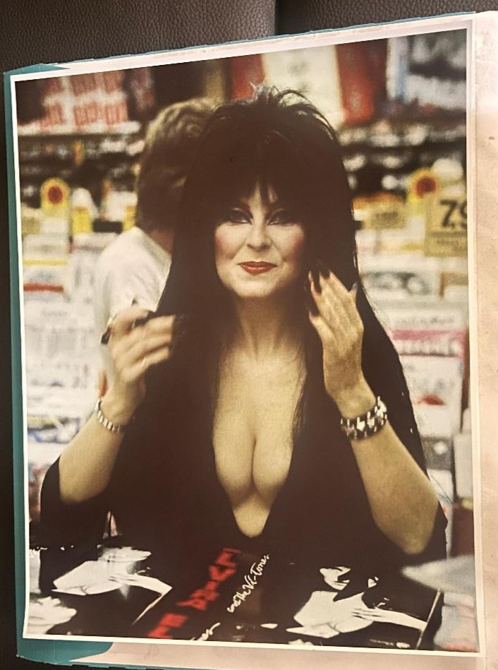 ELVIRA MISTRESS OF DARK COLOR 11x14 PHOTO LOOKING AT YOU THE BUYER